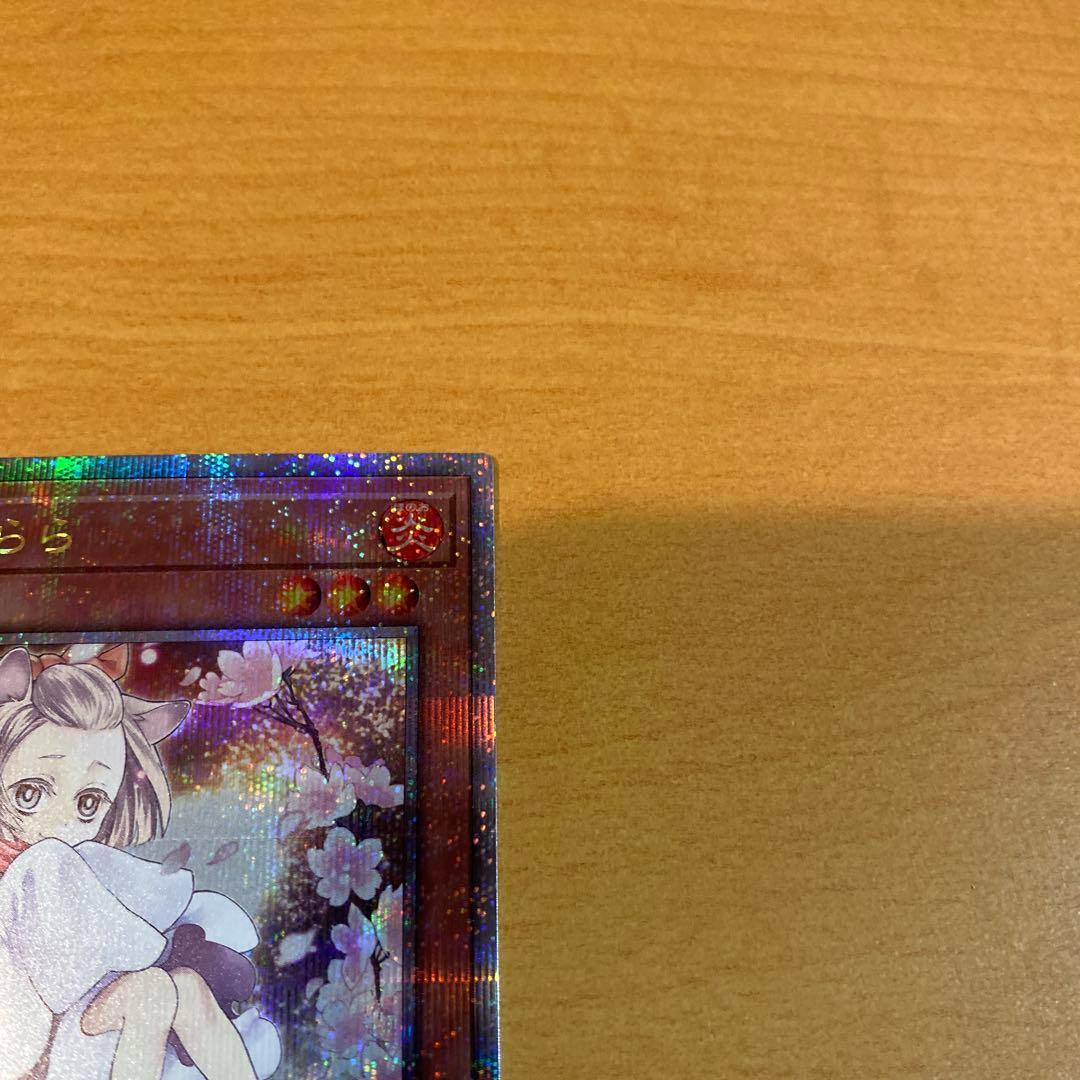 遊戯王　灰流うらら　25thシークレットレア　絵違い