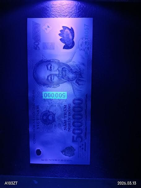 ベトナムドン　10枚