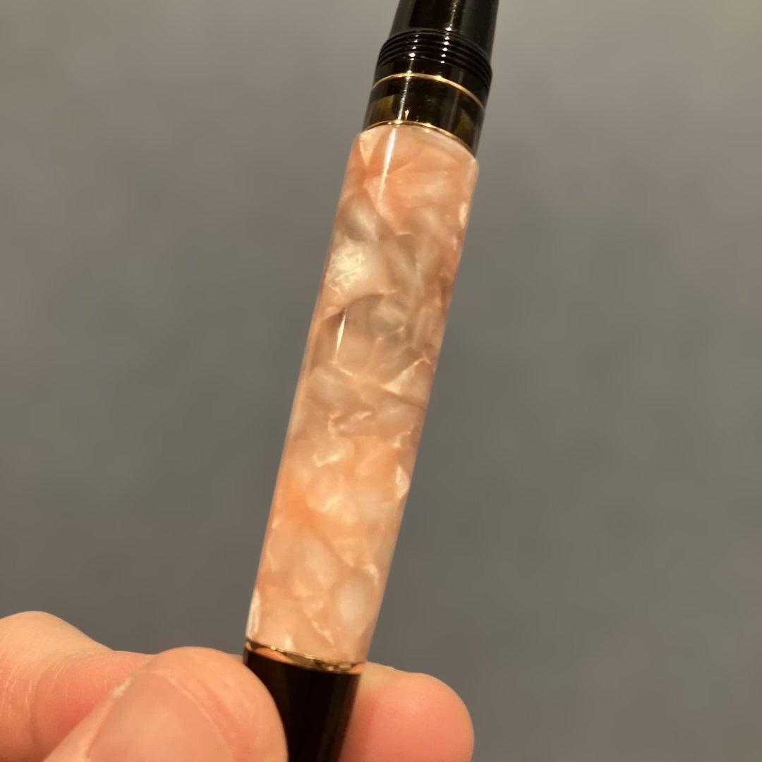 Aurora アウロラ Venere 万年筆 B