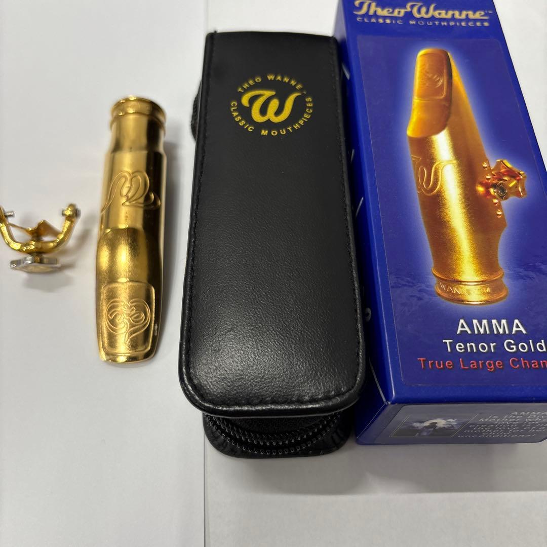 Theo Wanne AMMA 7⭐︎ テナーマウスピース