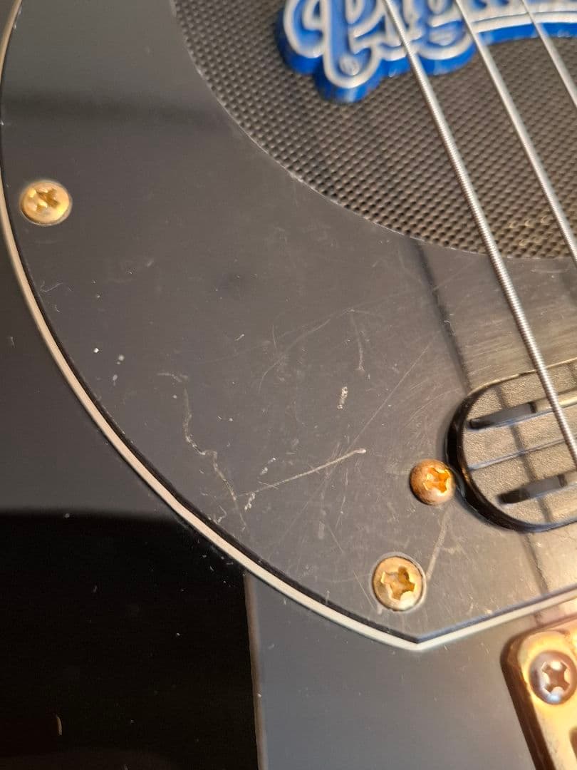 Pignose Guitar 純正ケース付き ピグノーズブロックインレイ ギター