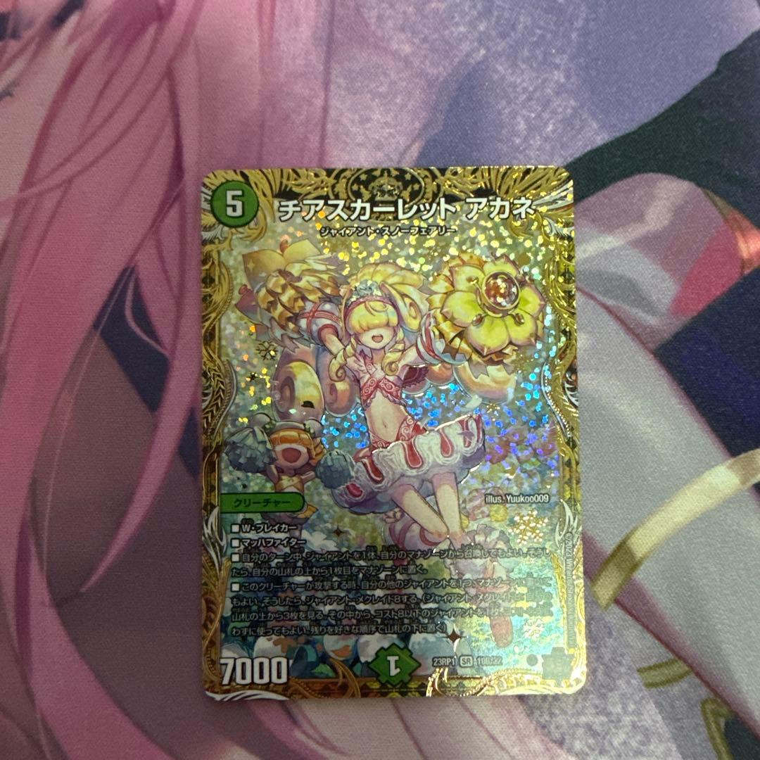 チアスカーレット アカネ　b 2枚セット