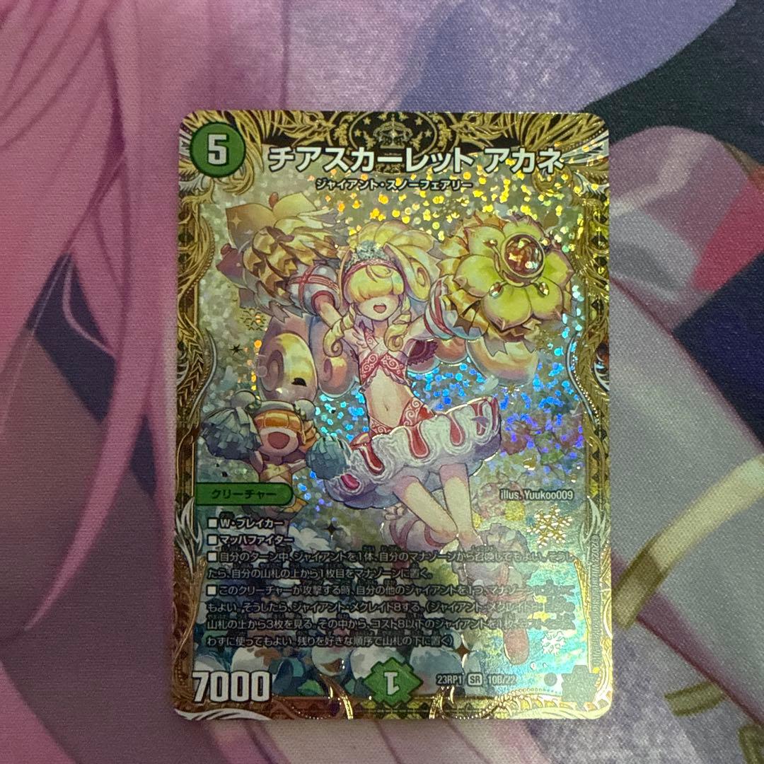 チアスカーレット アカネ　b 2枚セット