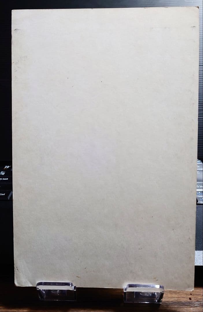 非売品 バンダイ カードダス20 魔人ブウ登場！！第19弾悟飯編 第3章台紙