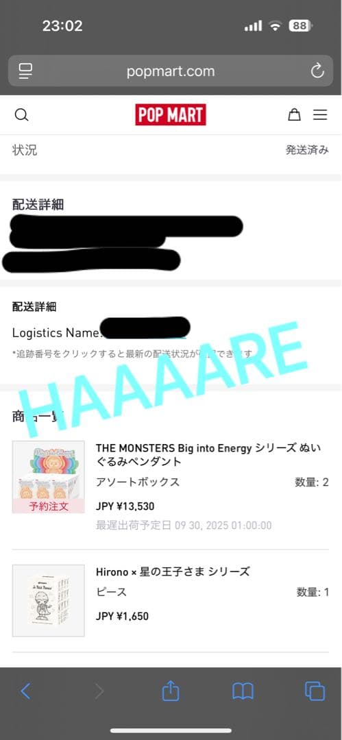 【正規品】Labubu Big into Energy アソート シュリンク付き