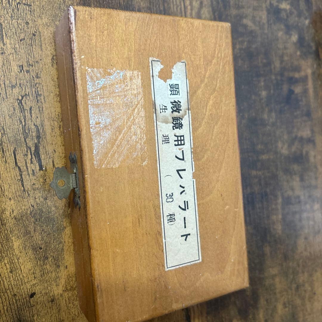 顕微鏡プレパラート　生理　30種　昭和物