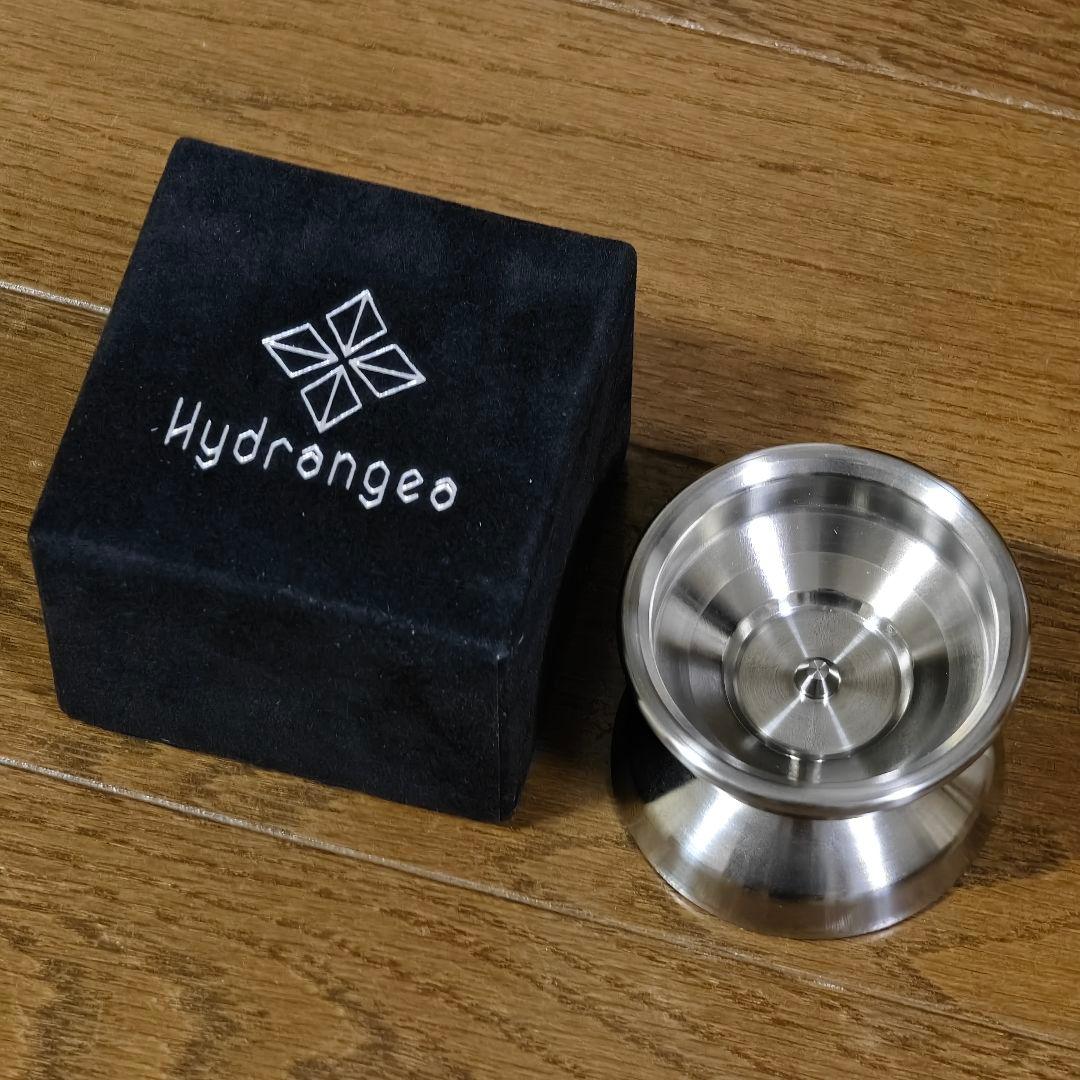 Hydrangea ハイドランジア ベルベリス