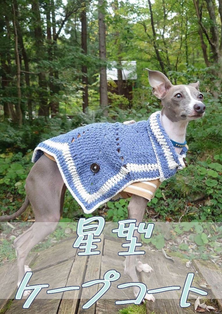 星形ケープコート　ブルー&グレー