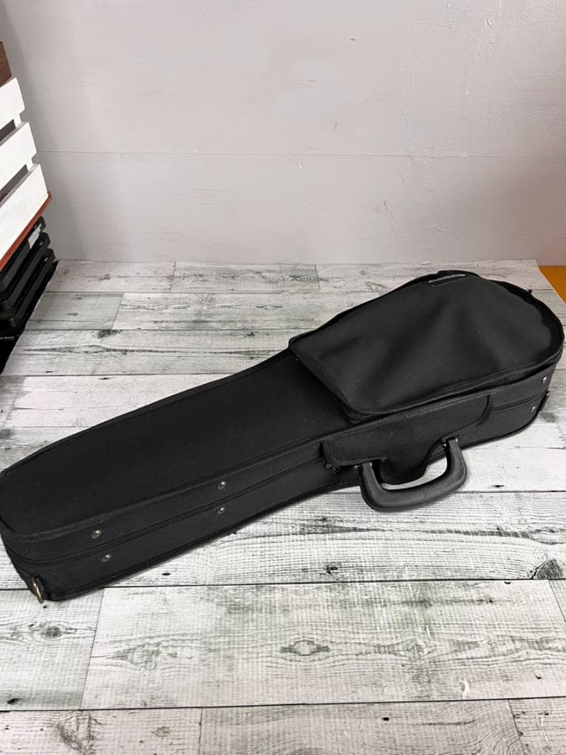 美品✨ Andreas Eastman VL80 1/2 2018 バイオリン