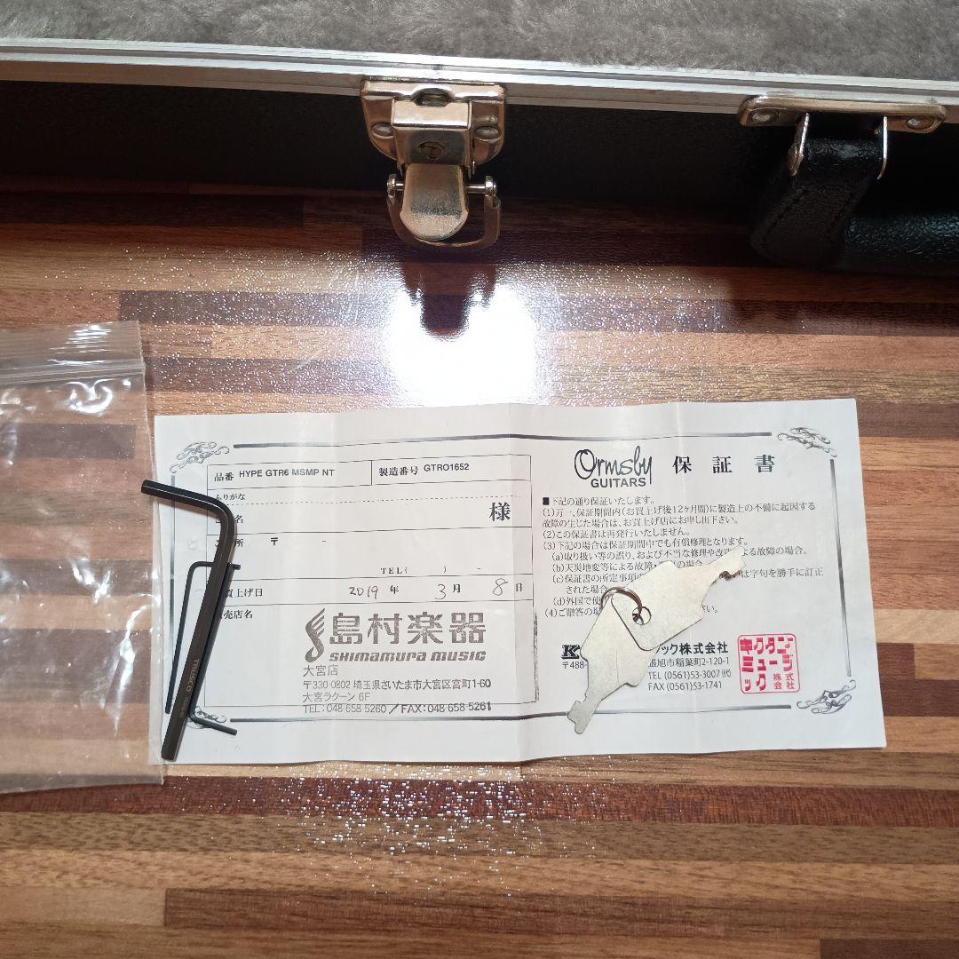 Ormsby Guitars HYPE GTR MSMP NT　6弦