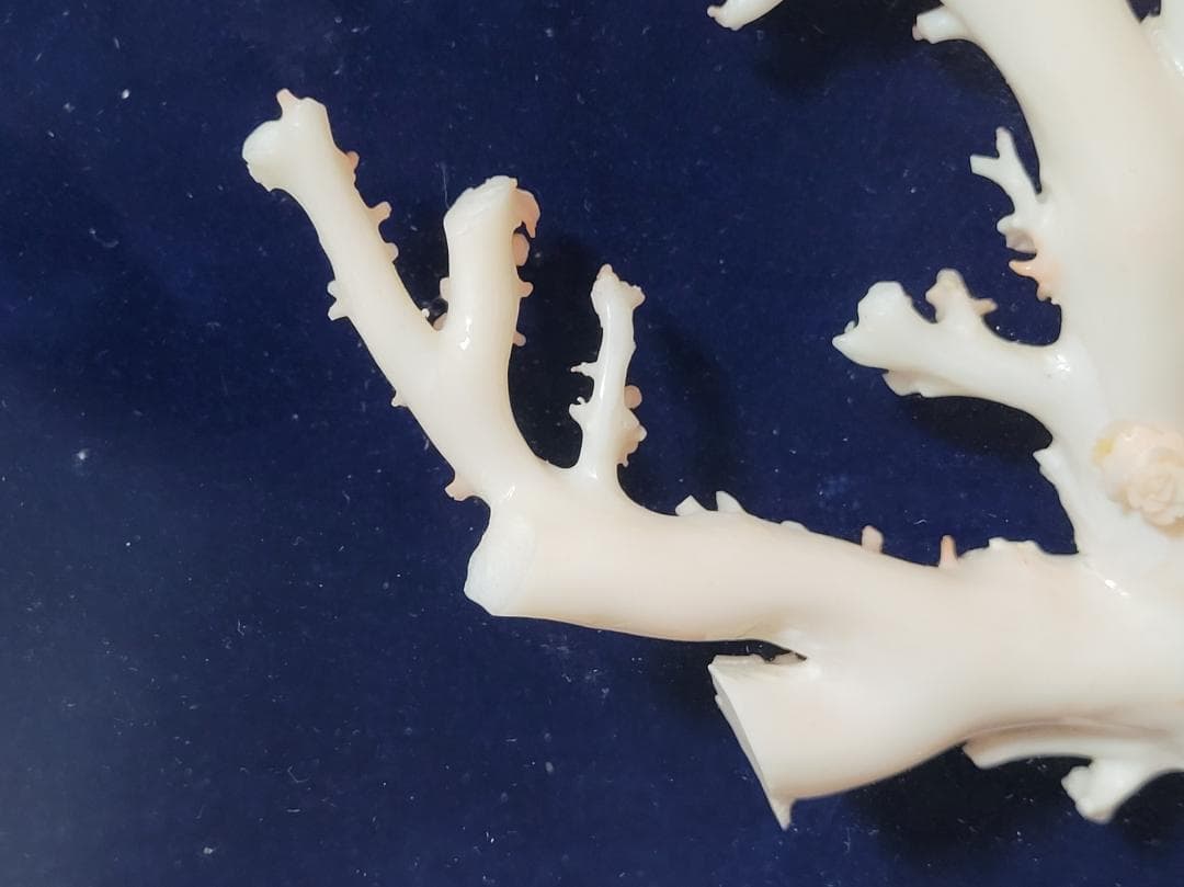 天然希少材料 彫刻 額装 壁飾 置物 横幅約55.8cm