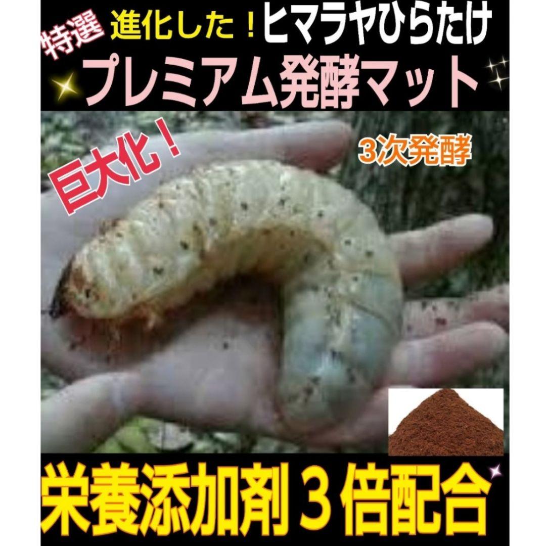カブトムシ幼虫が大きくなる！プレミアム発酵マット50L特殊アミノ酸配合！産卵にも