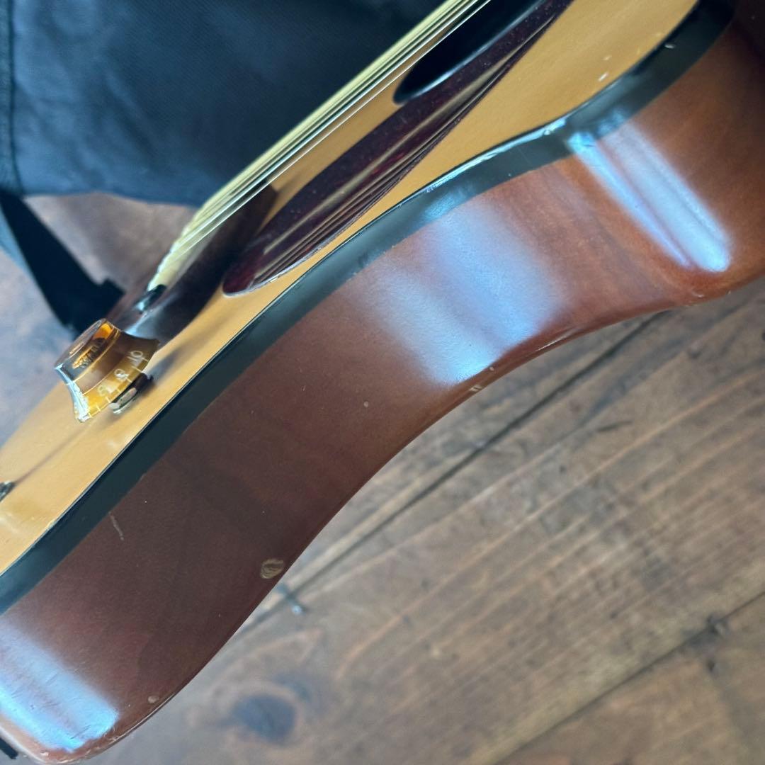 FERNANDES ZO-3A フェルナンデス ぞーさん