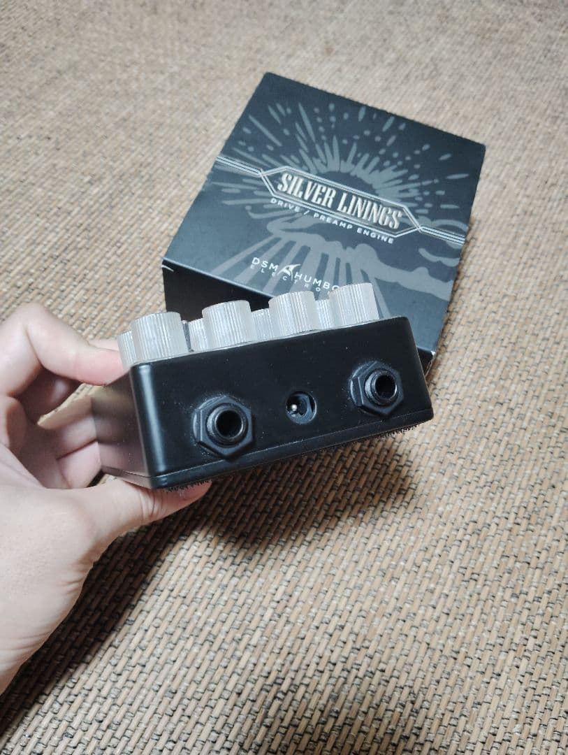 ギター DSM HUMBOLT SILVER LININGS