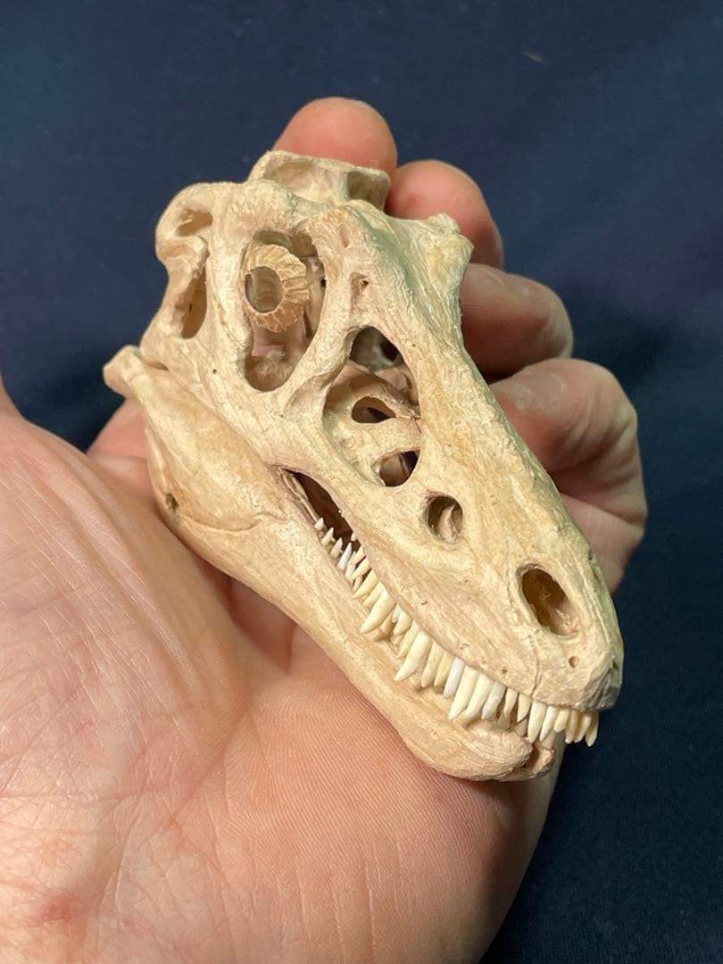 木彫　恐竜　キアンゾウサウルス　頭骨模型　10.5cm