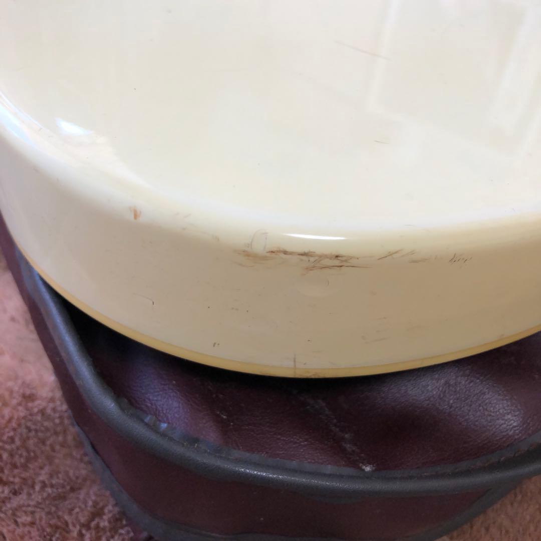 フェルナンデスTEJギター