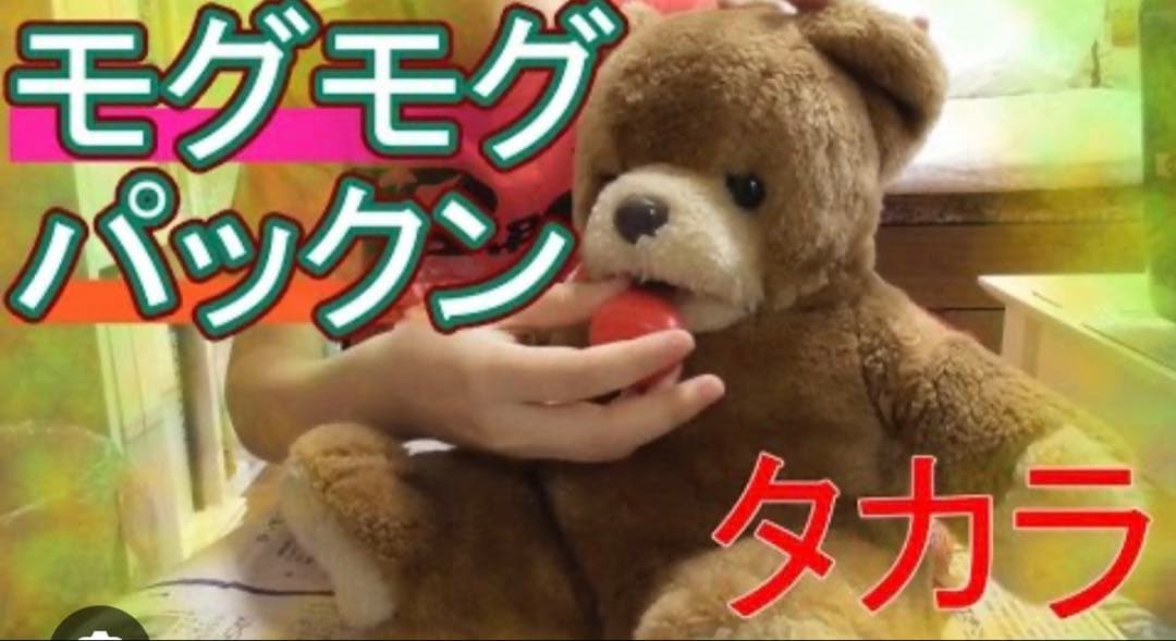 ぬいぐるみクマ タカラ　たべるの大好き！!　モグモグパックン　ぬいぐるみ