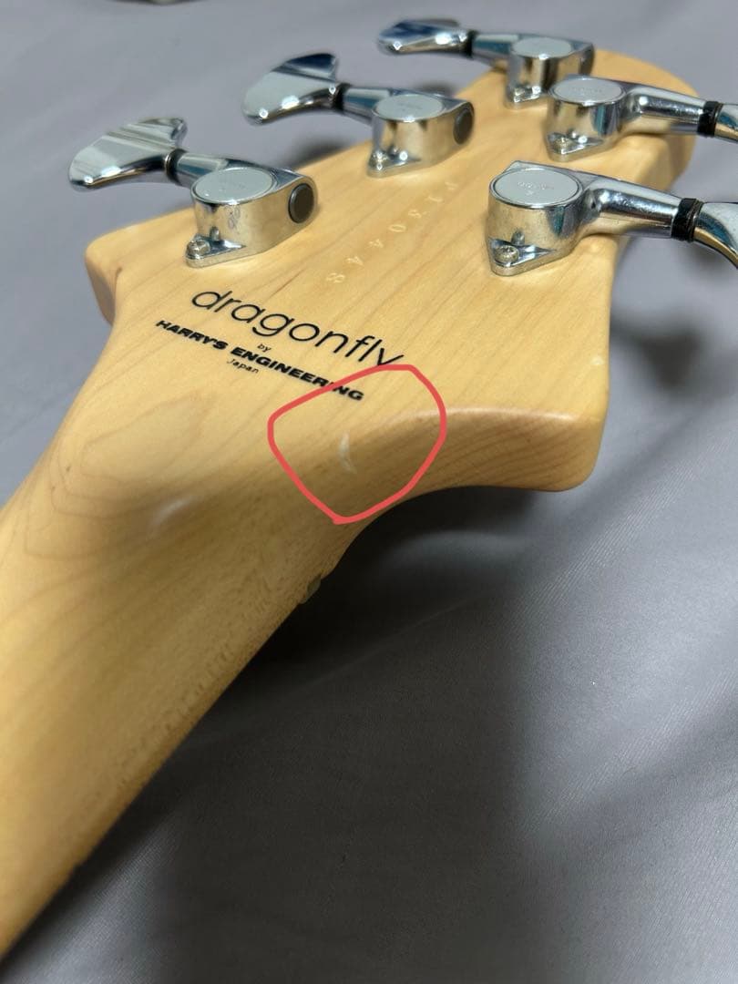 ベース dragonfly CS-5