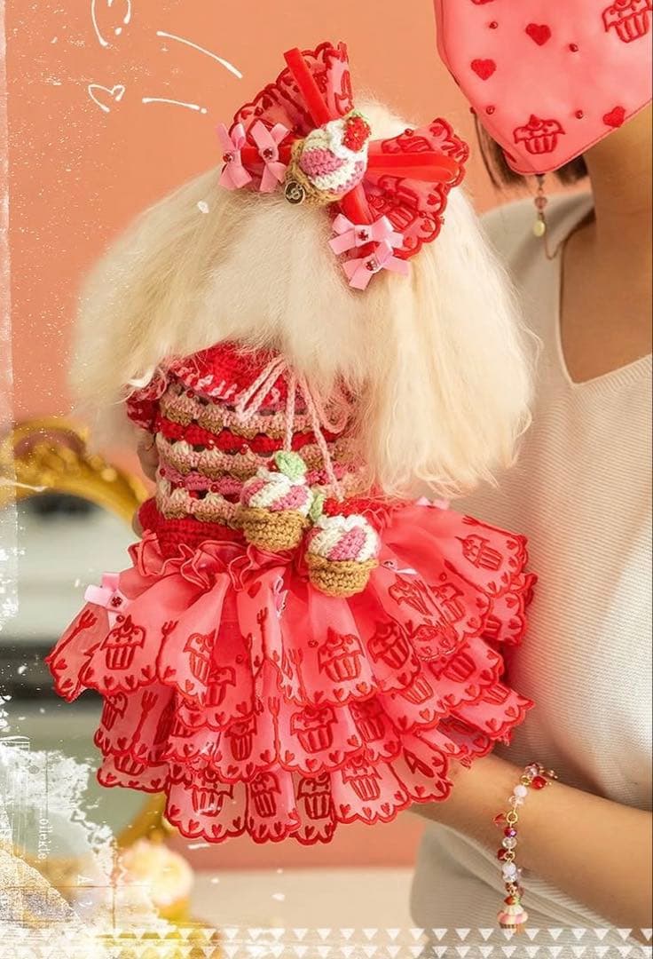 Pet a Portre (ペット ア ポルテ)Petit Gateau