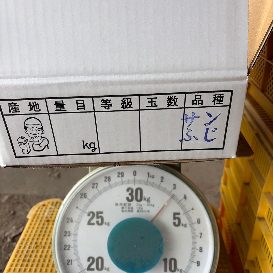 山形県産　サンふじ　贈答用　特秀3キロ１２玉×3箱