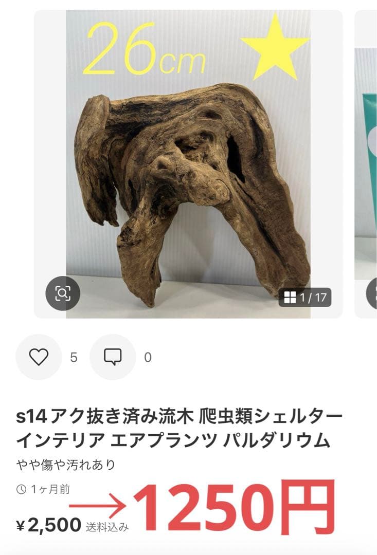 k42アク抜き済み流木 爬虫類シェルター レイアウト用 インテリア エアプランツ