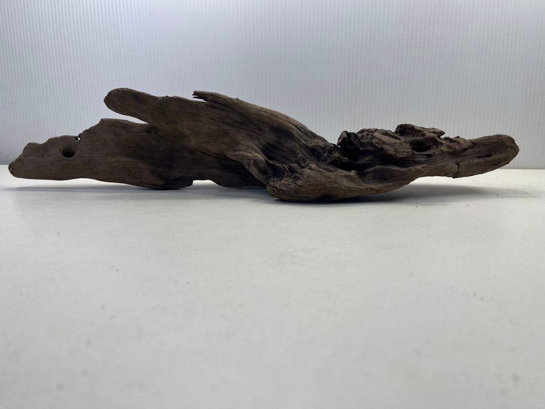 k42アク抜き済み流木 爬虫類シェルター レイアウト用 インテリア エアプランツ