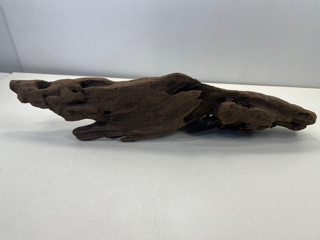 k42アク抜き済み流木 爬虫類シェルター レイアウト用 インテリア エアプランツ