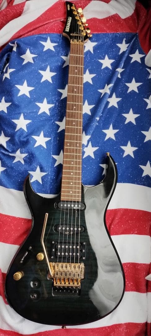 フェルナンデス　 サスティナー付き レフティ仕様