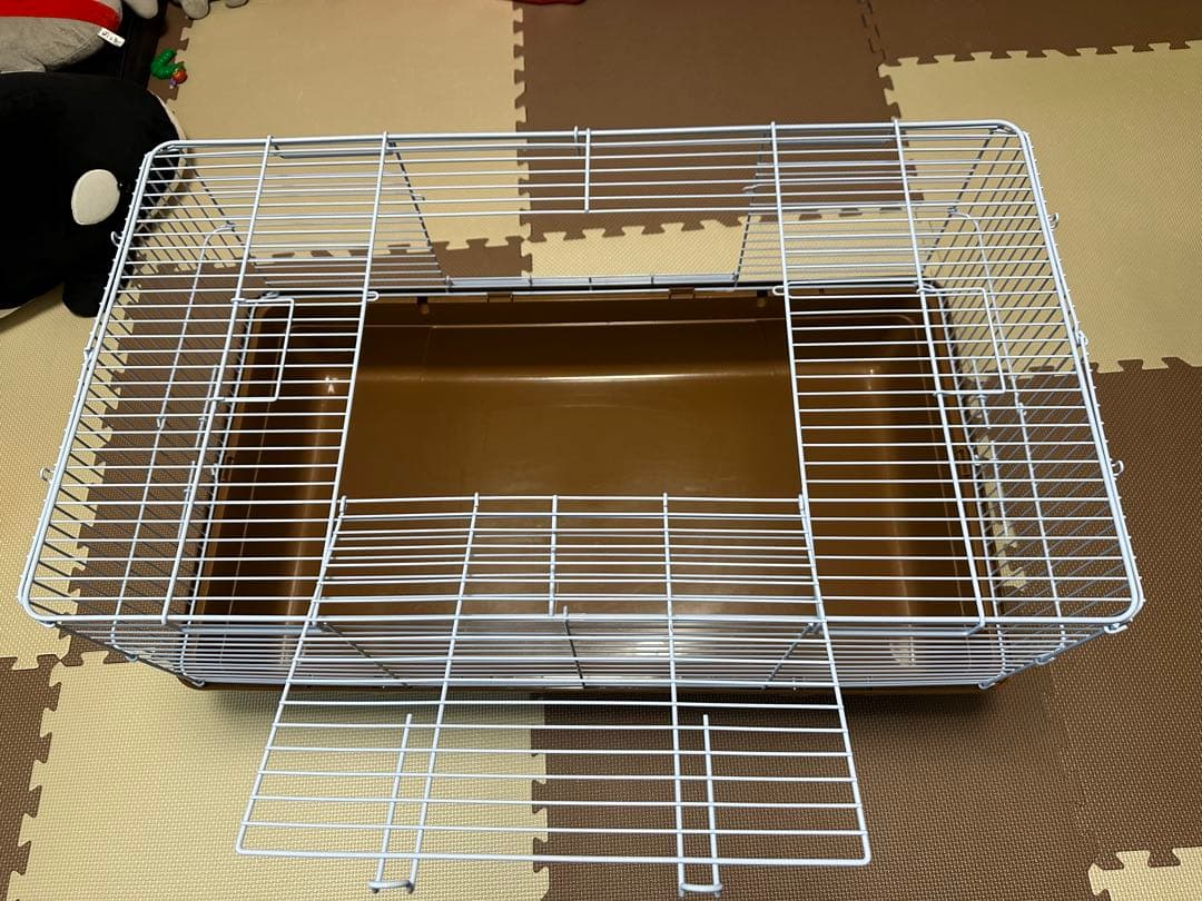 ハリネズミ飼育セット (神奈川付近であれば近くまでお届けも可能です)