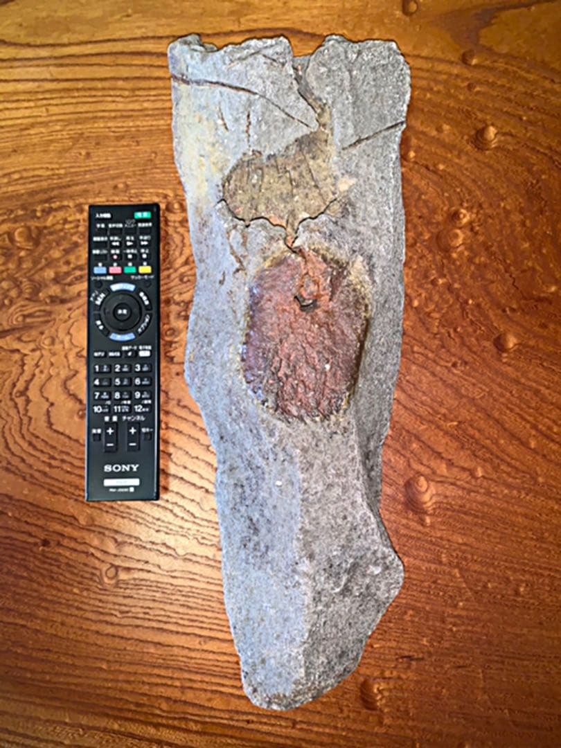 備前焼　ジェフ　シャピロ作　掛け花入　　　　ニューヨーク在住陶芸家　掛け花入