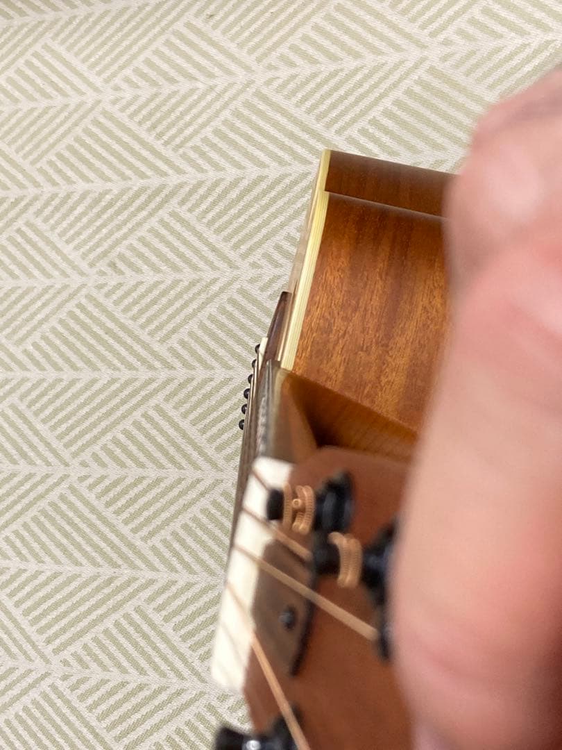 aNueNue Bird M1 アコースティックギター