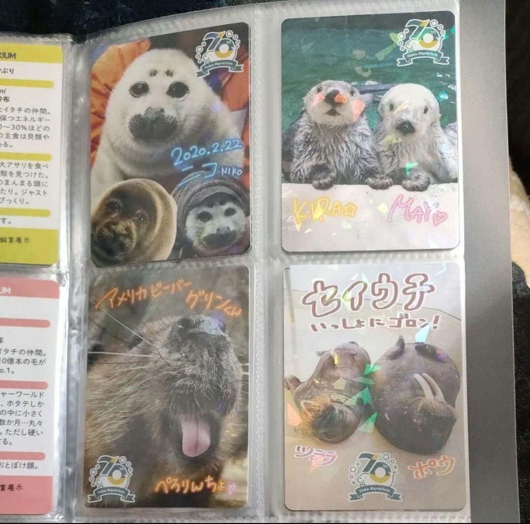 鳥羽水族館　コレクションカード　コンプリート