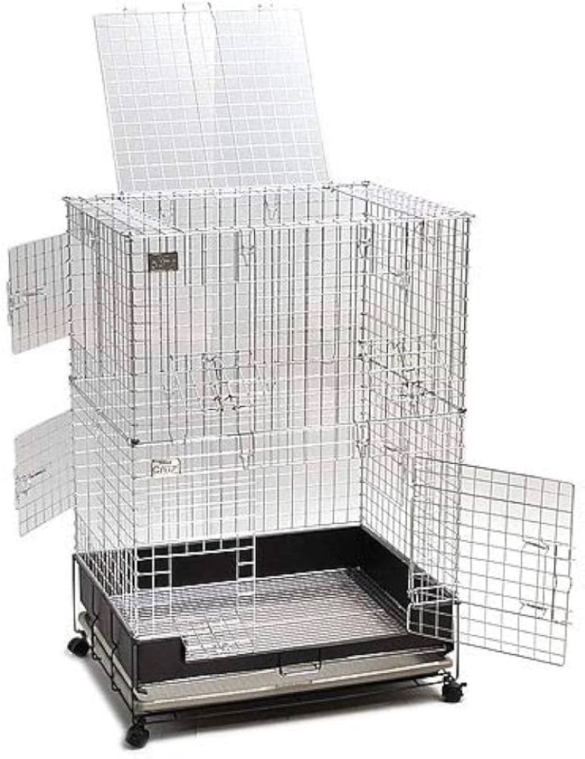 コンフォート60 チンチラスペシャル　カワイ