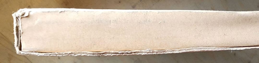 魔法先生ネギま 近衛木乃香 等身大パネル 未開封