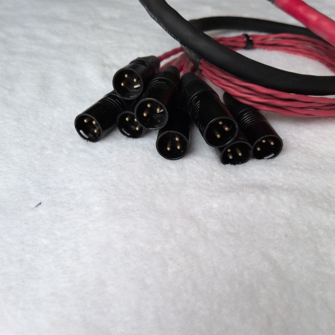 【03】Digidesign DB25-XLRM オーディオケーブル D-sub