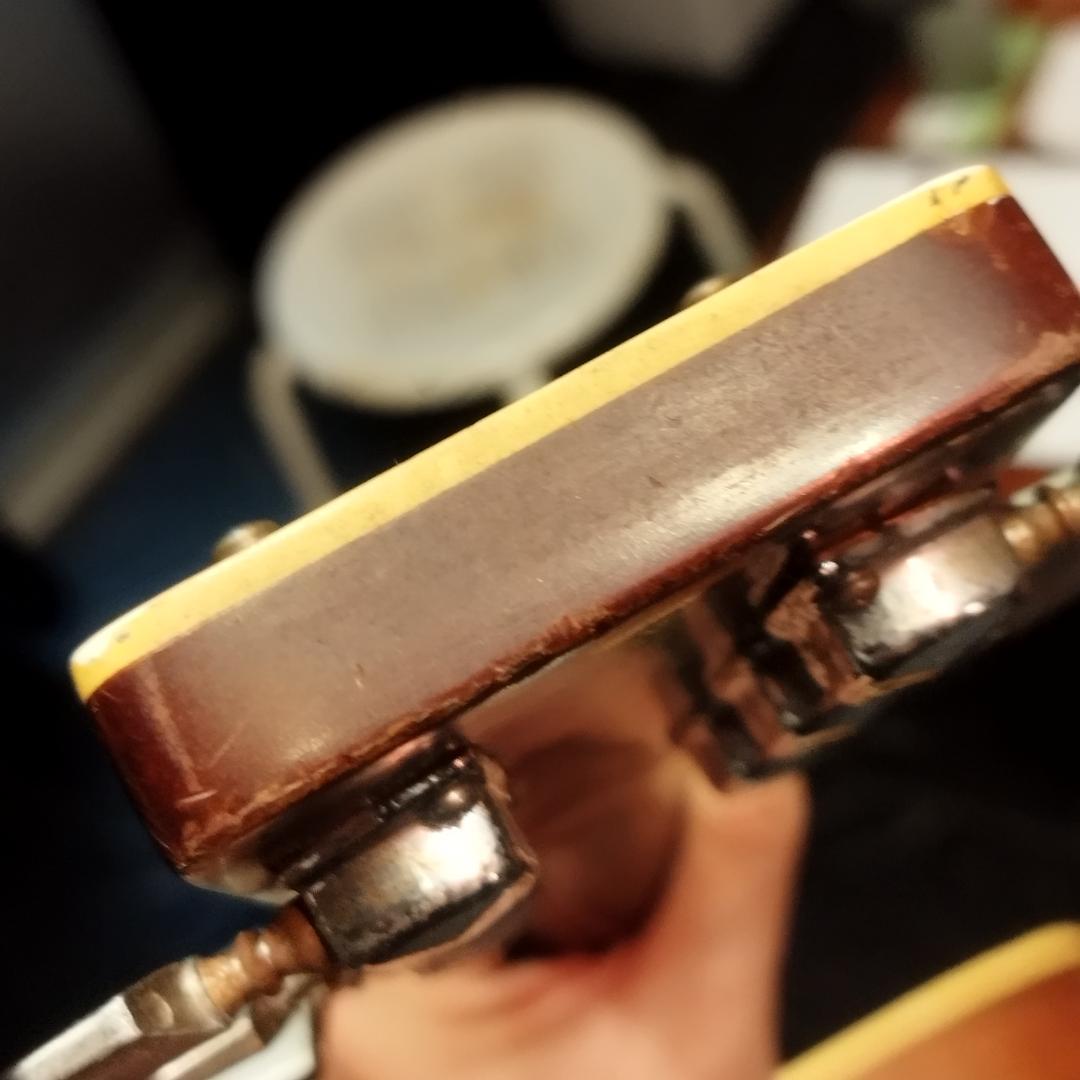 Aria ＆ co アコースティックギター　W-200