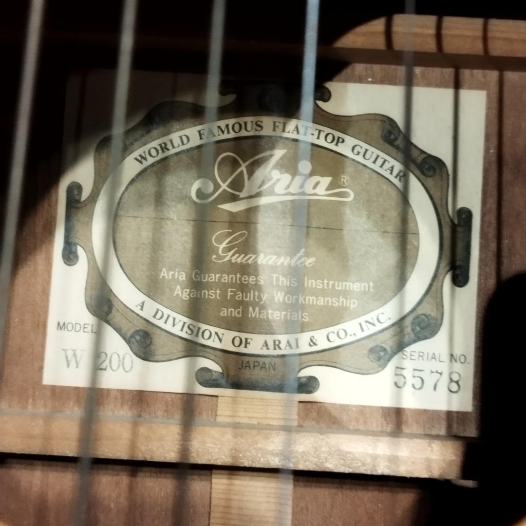Aria ＆ co アコースティックギター　W-200