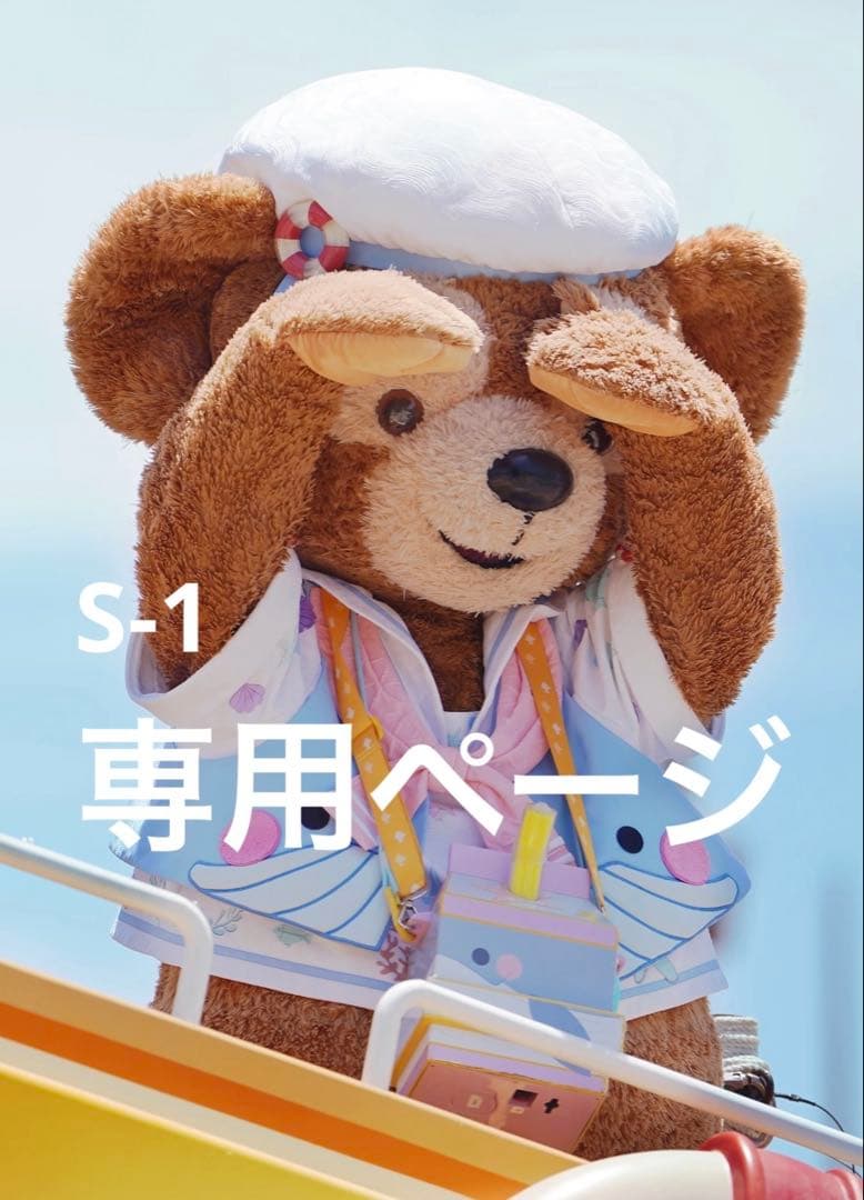 専用ページ　S-1