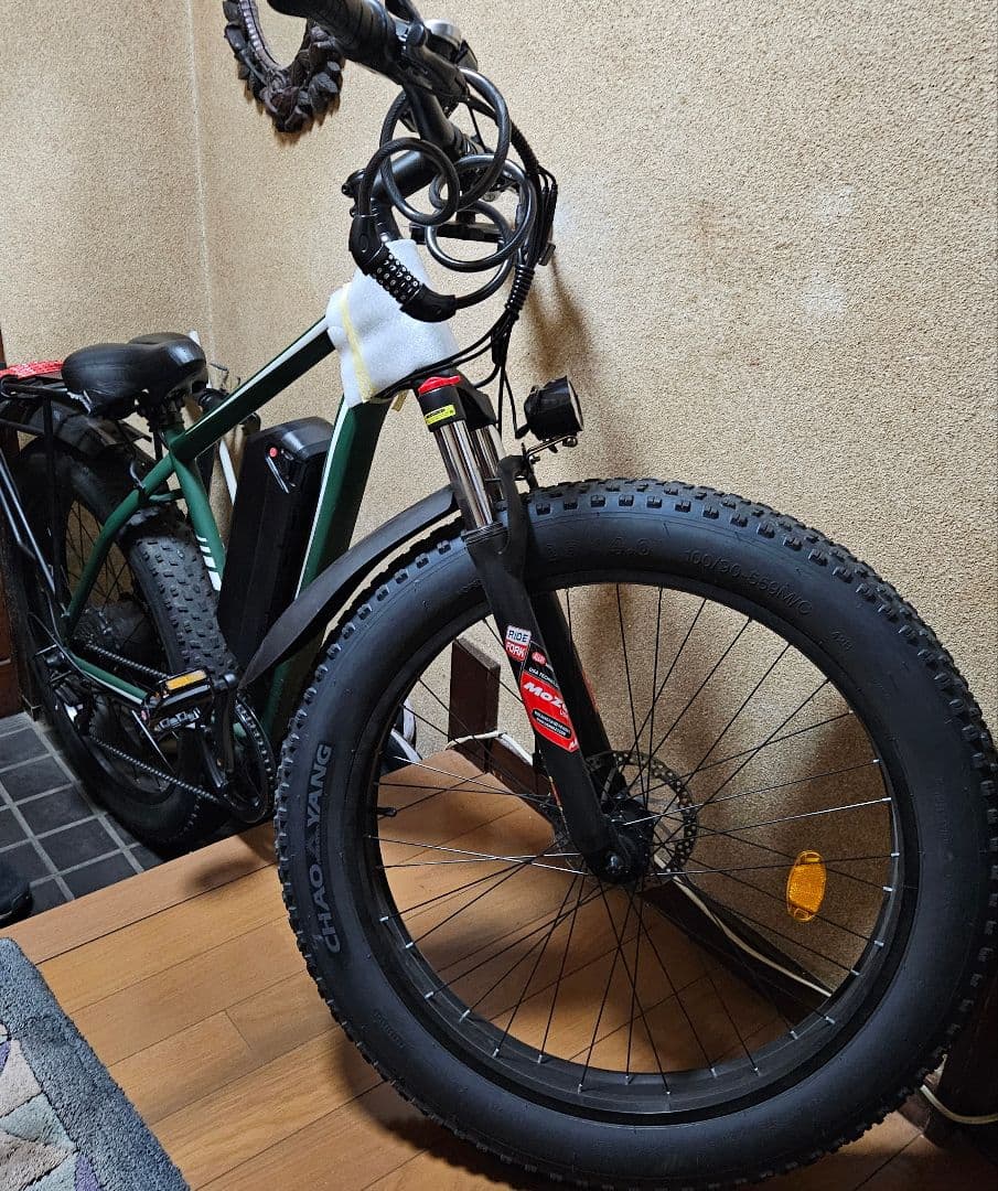 電動アシスト自転車 ファットタイヤタイプ