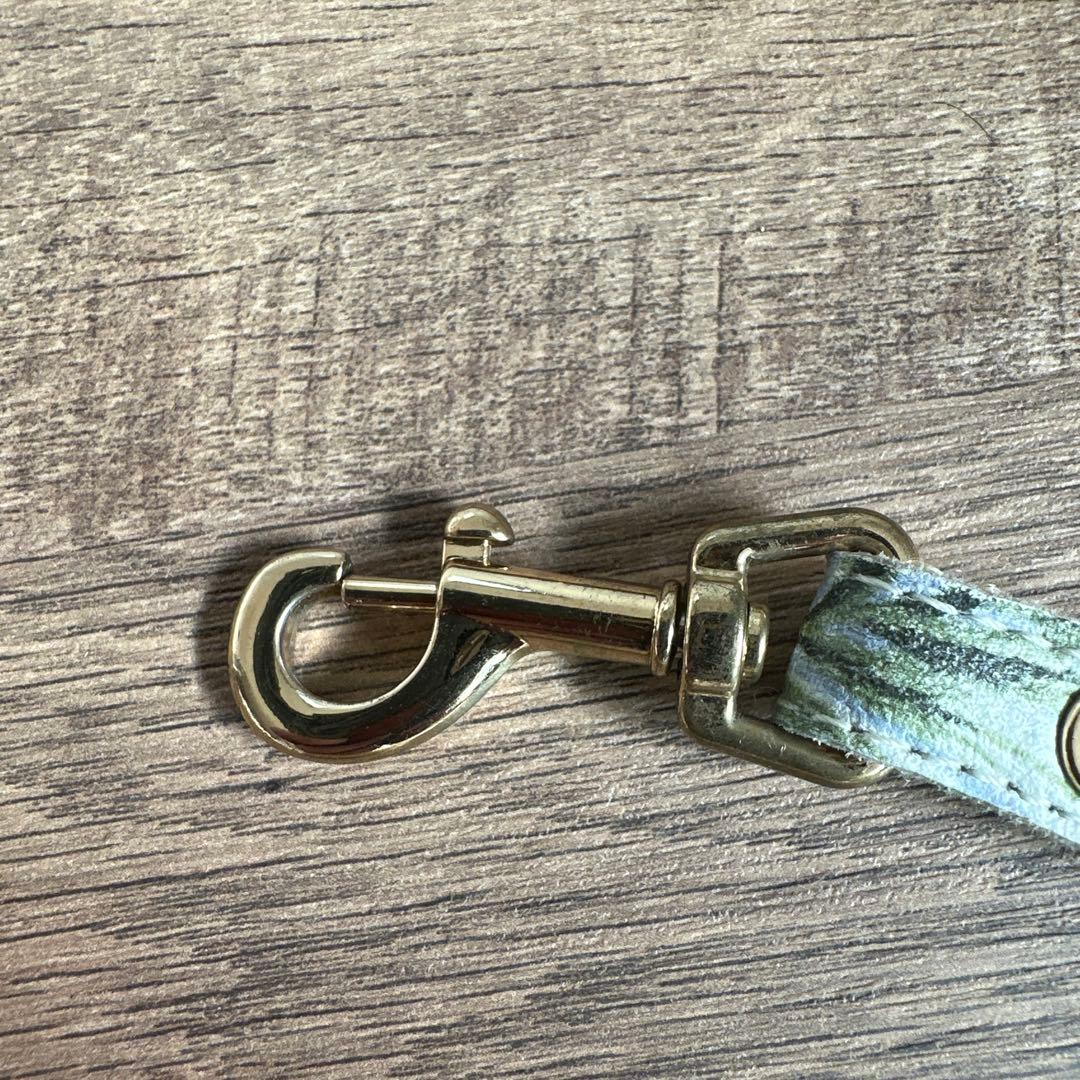 バディベルト　 BB バハマ 4号　 アクセントリード