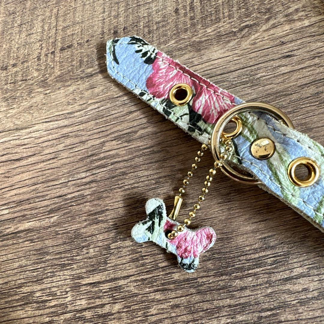 バディベルト　 BB バハマ 4号　 アクセントリード