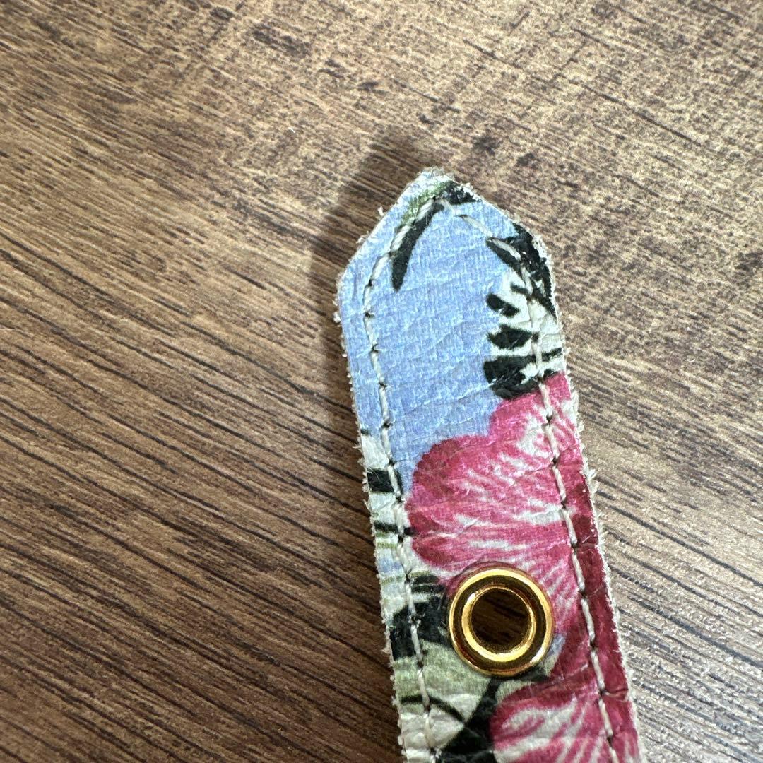 バディベルト　 BB バハマ 4号　 アクセントリード