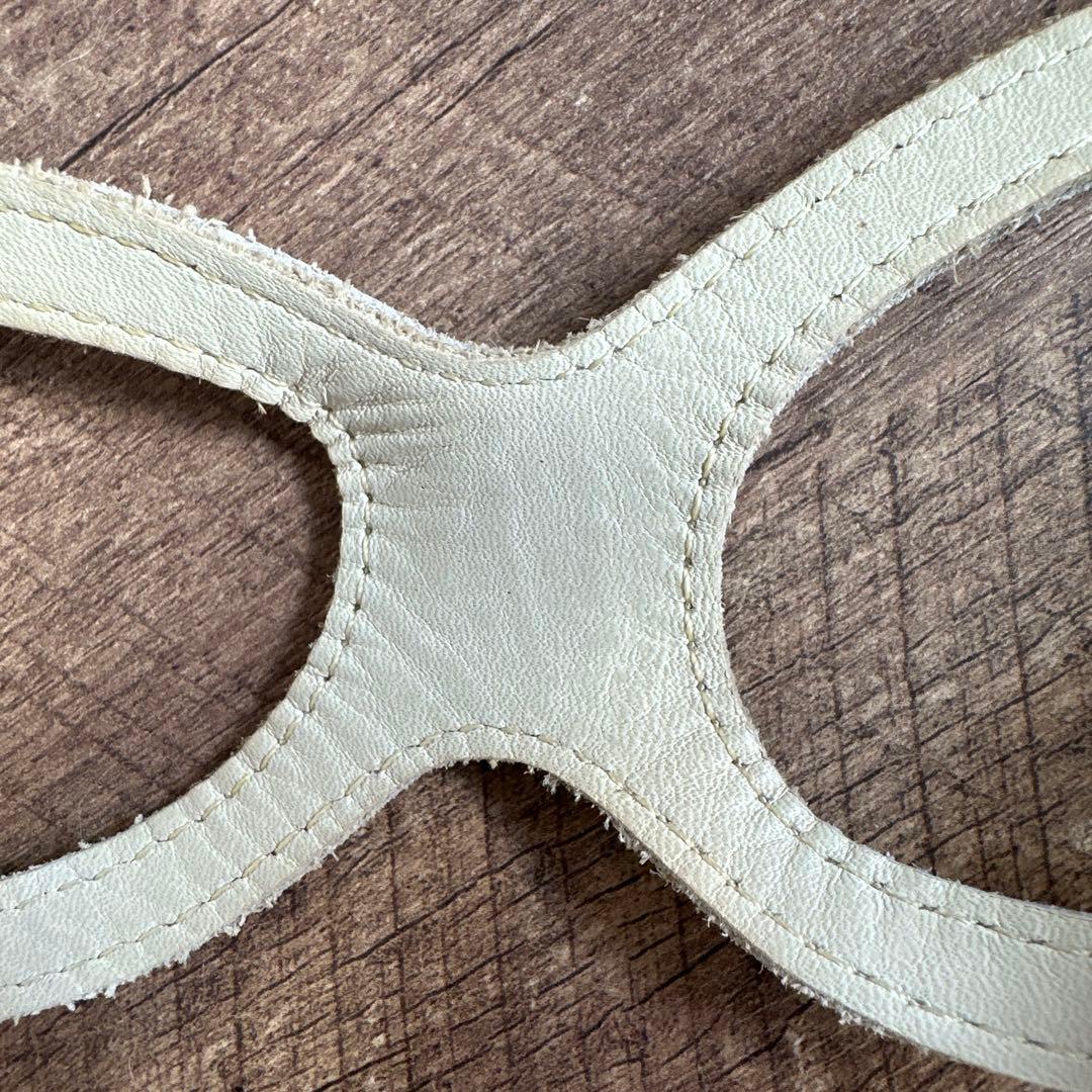 バディベルト　 BB バハマ 4号　 アクセントリード