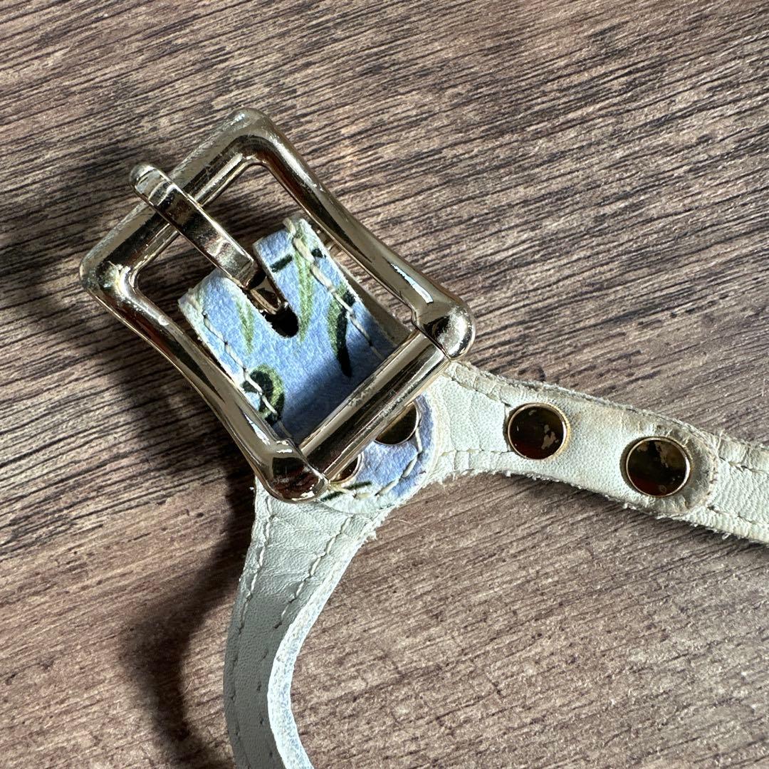 バディベルト　 BB バハマ 4号　 アクセントリード