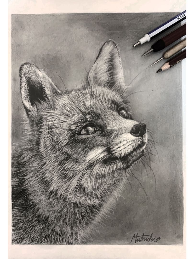 狐の鉛筆画