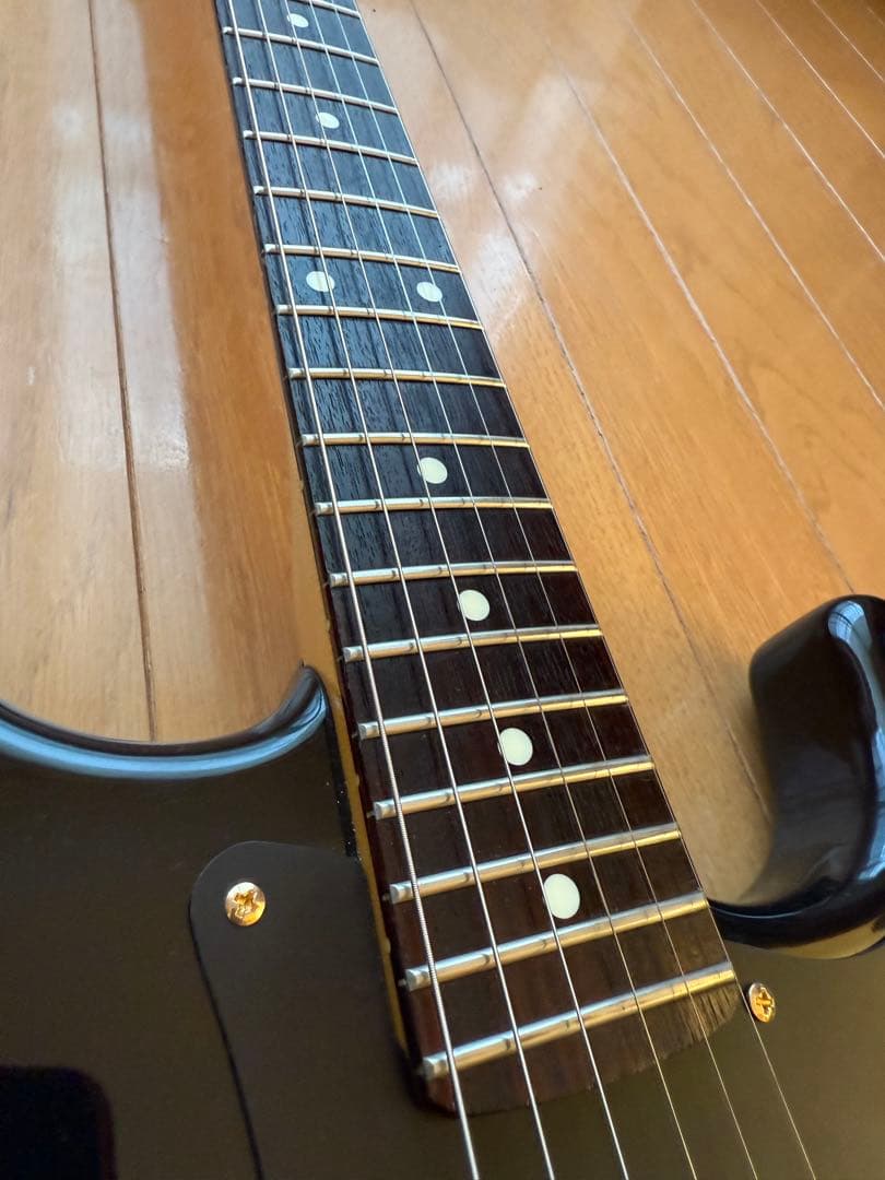 ✨レア美品中古✨Bill Lawrence OBC0 R-55G改 シャケモデル