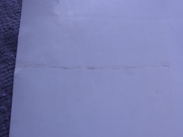 未使用品　非売品　ポスター　ヒロ・ヤマガタ　森の蝶々　アート　山形博導