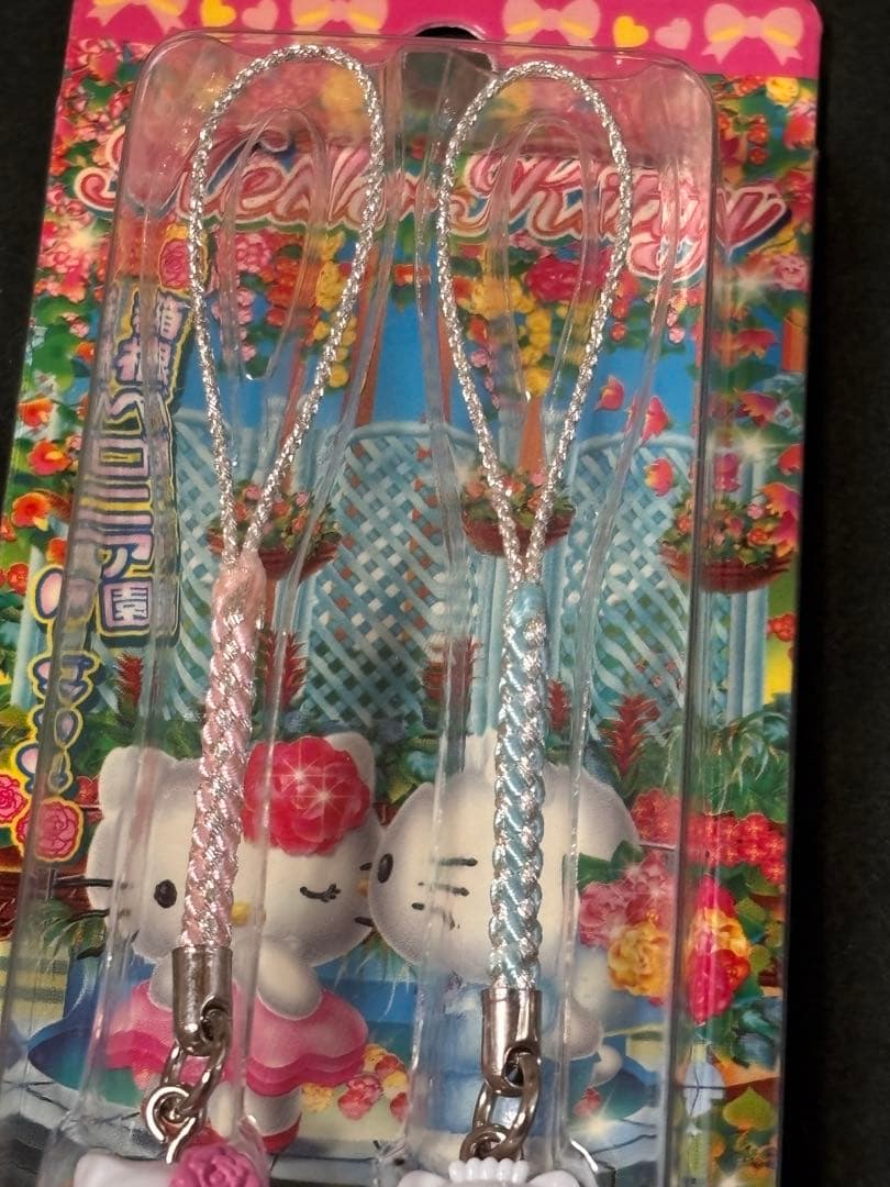 激レア❣️未使用未開封❗️ご当地キティ神奈川 箱根ベゴニア園2006