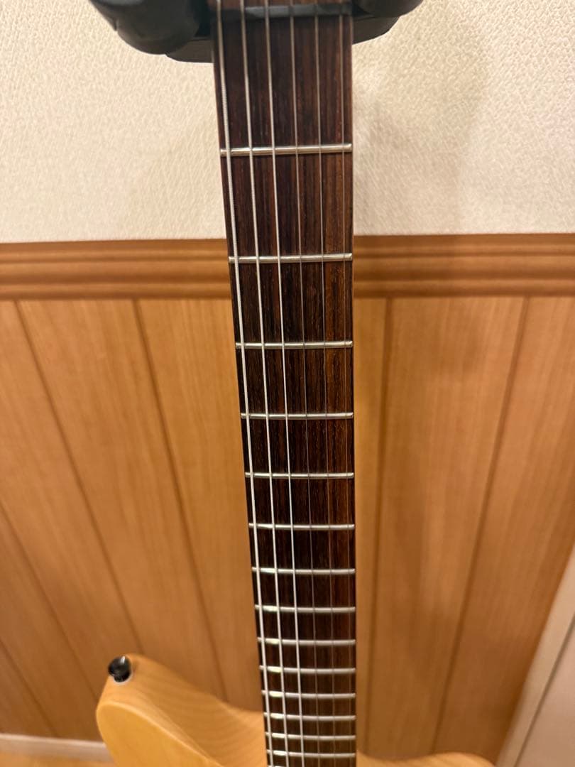 SAITO Guitars エレキギター S-622JMC