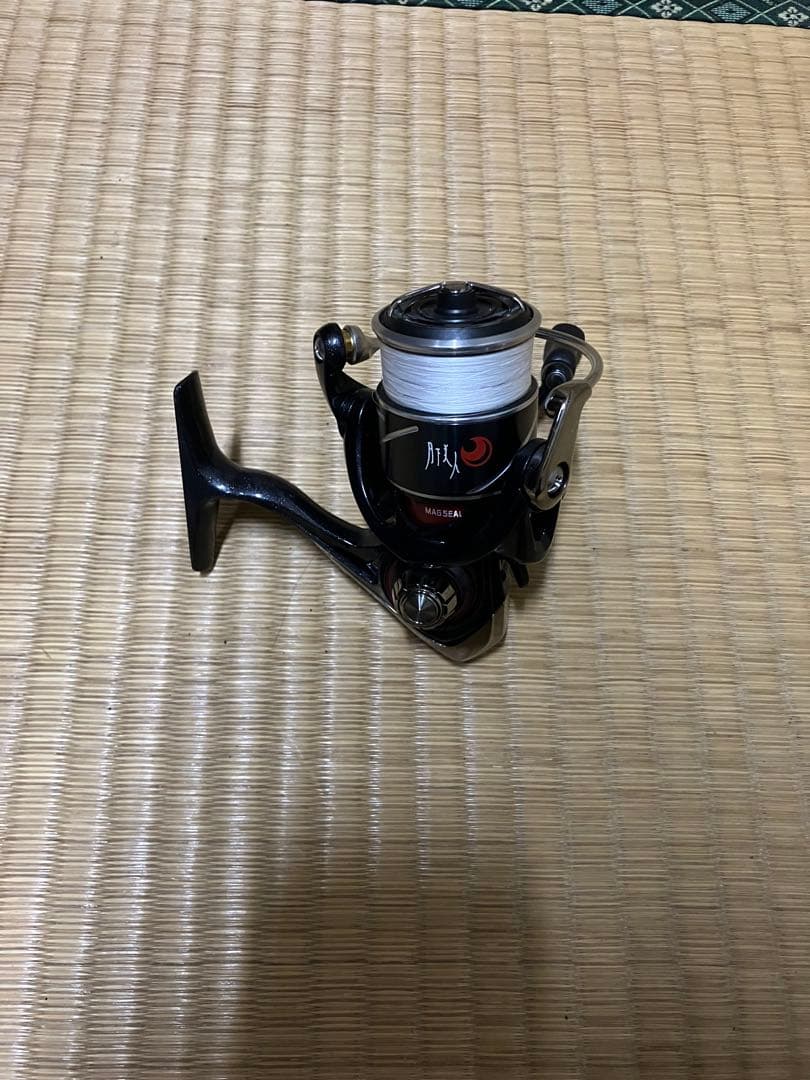 DAIWA 月下美人x LT 2000S-P